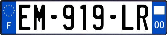 EM-919-LR