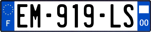 EM-919-LS