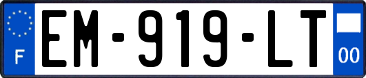 EM-919-LT
