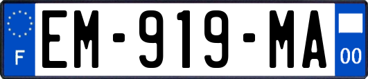 EM-919-MA