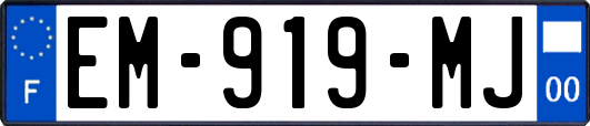 EM-919-MJ
