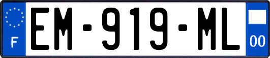 EM-919-ML