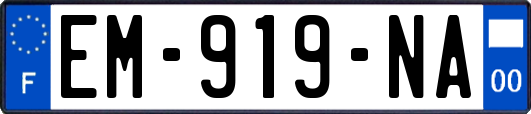 EM-919-NA