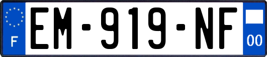 EM-919-NF