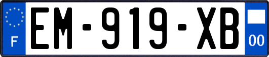 EM-919-XB