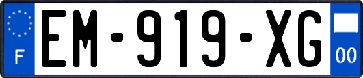 EM-919-XG