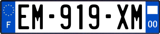 EM-919-XM