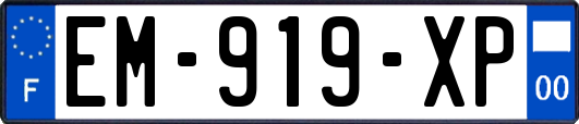 EM-919-XP