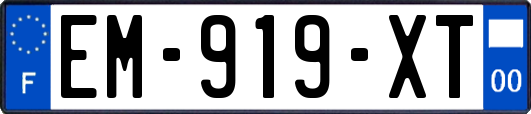 EM-919-XT
