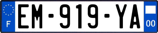 EM-919-YA