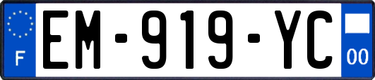 EM-919-YC