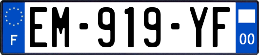 EM-919-YF