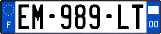 EM-989-LT