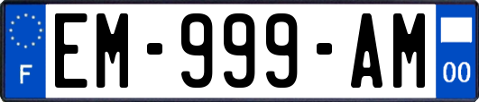 EM-999-AM