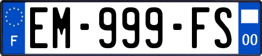 EM-999-FS