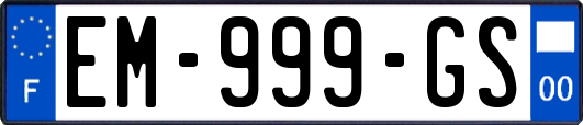 EM-999-GS