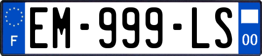 EM-999-LS