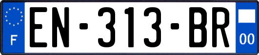 EN-313-BR