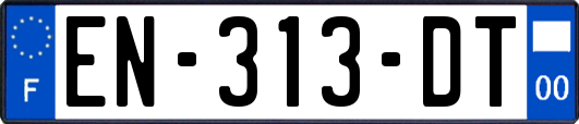 EN-313-DT