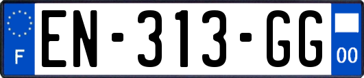EN-313-GG