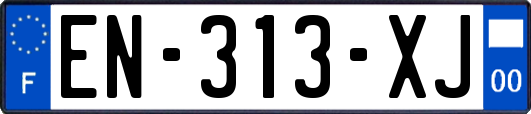 EN-313-XJ