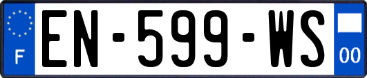 EN-599-WS