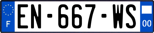 EN-667-WS