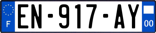 EN-917-AY