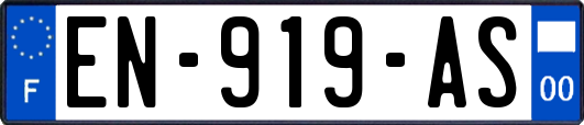 EN-919-AS
