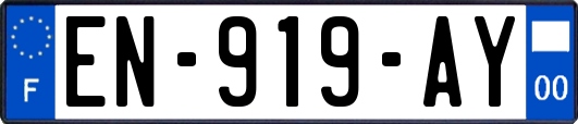 EN-919-AY