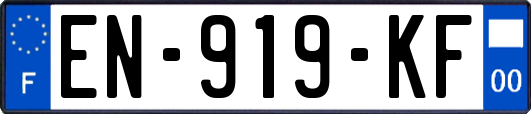 EN-919-KF
