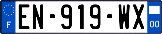 EN-919-WX