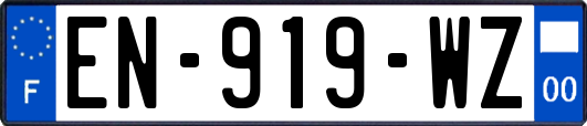 EN-919-WZ