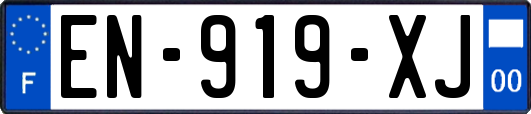 EN-919-XJ