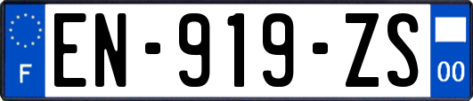 EN-919-ZS