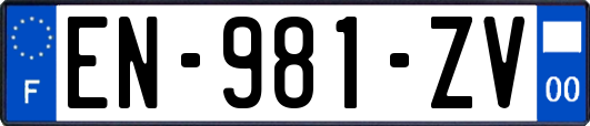 EN-981-ZV