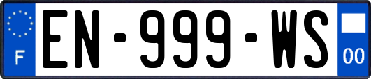 EN-999-WS
