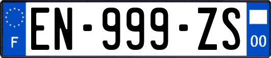 EN-999-ZS