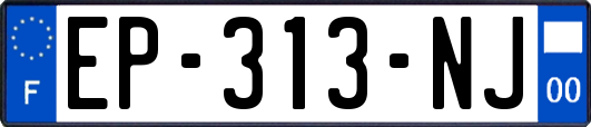 EP-313-NJ