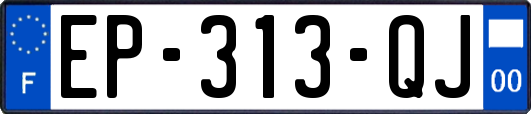 EP-313-QJ