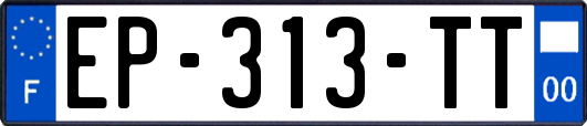 EP-313-TT