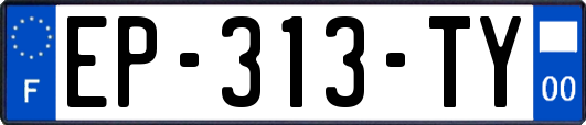 EP-313-TY