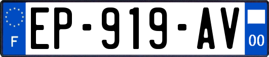 EP-919-AV