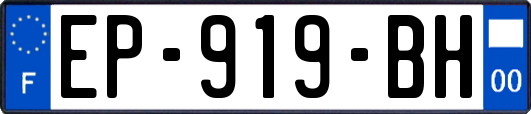 EP-919-BH