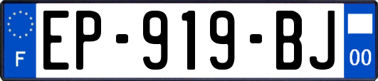 EP-919-BJ