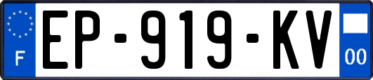 EP-919-KV