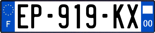 EP-919-KX