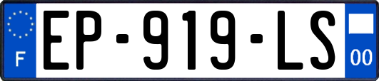 EP-919-LS
