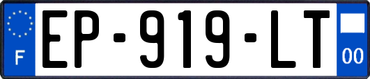 EP-919-LT