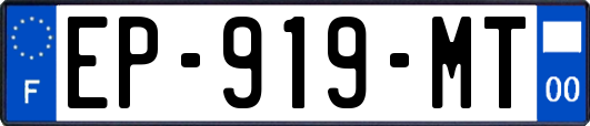 EP-919-MT